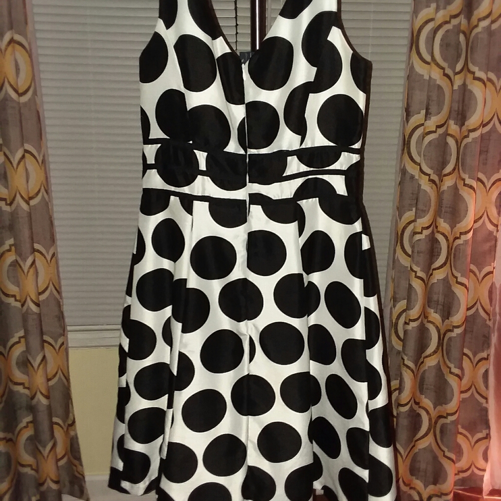 Dressbarn beautiful Black and White Polka Dot Dress
